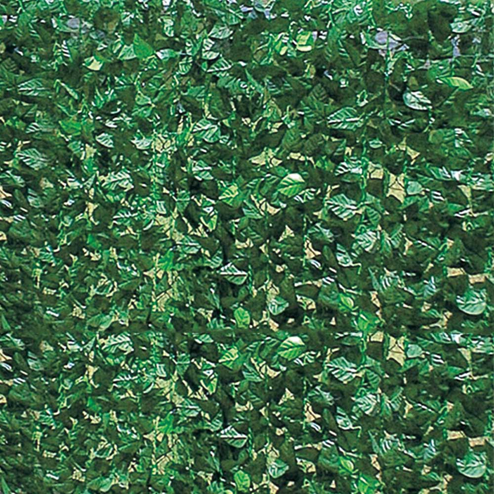 Arelle Sempreverdi a Doppia Schermatura Lauro FERLIVING - 100x300 cm